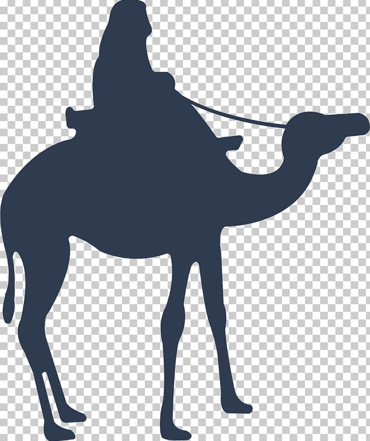 Camel Icon PNG, Clipart, Adha, Adobe Illustrator, Animals, Bayram, Blue Abstract Free PNG Download