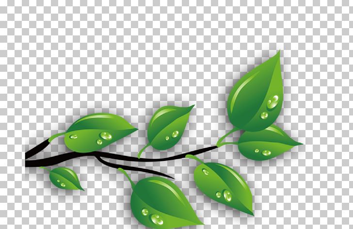 Green Leaves PNG, Clipart, Art, Computer Wallpaper, Creative, Download, Drop Free PNG Download