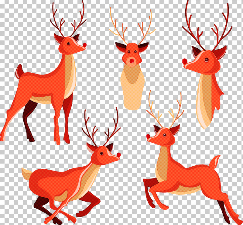 Reindeer PNG, Clipart, Animal Figure, Antler, Deer, Reindeer, Tail Free PNG Download