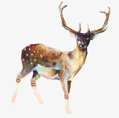Hand-painted Watercolor Deer PNG, Clipart, Animal, Deer, Deer Clipart, Hand, Hand Painted Free PNG Download