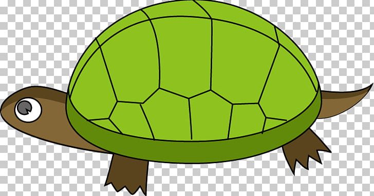 Turtle Tortoise PNG, Clipart, Animals, Art, Ball, Creativity, Emerge Free PNG Download