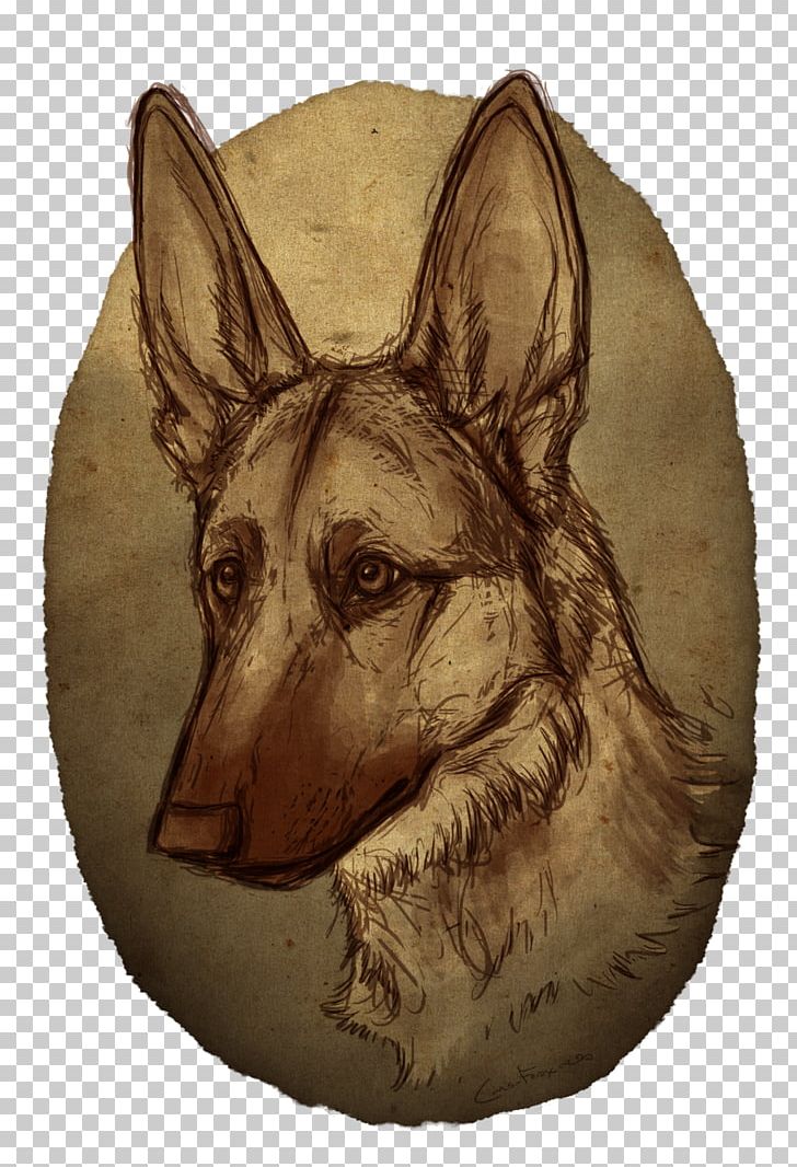 Dog Breed German Shepherd Drawing Snout PNG, Clipart, Arkay, Art Drawing, Breed, Canis, Carnivoran Free PNG Download