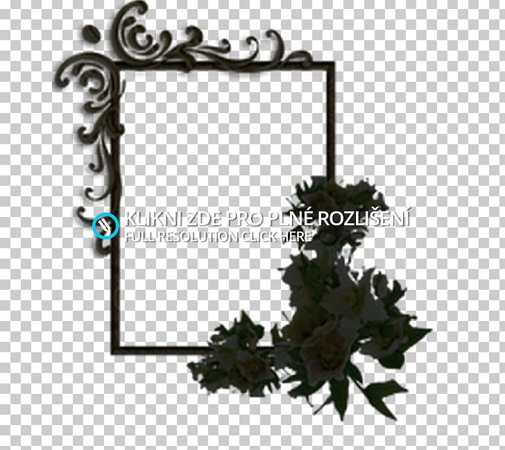 Frames Leaf Font PNG, Clipart, Grapevine Family, Iron, Leaf, Picture Frame, Picture Frames Free PNG Download