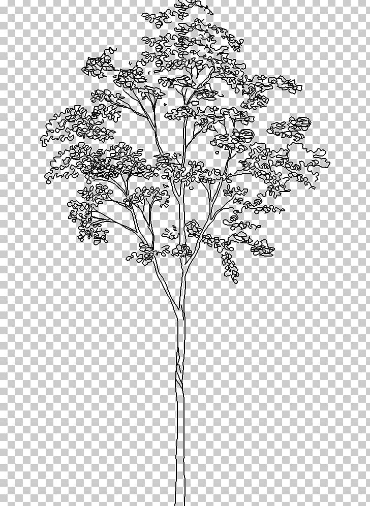 Architecture Tree Drawing PNG, Clipart, Architect, Architectural Drawing, Architecture, Art, Autocad Architecture Free PNG Download