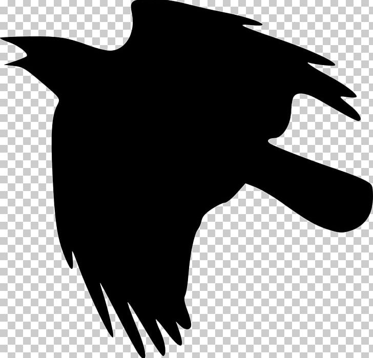 Crow PNG, Clipart, Art, Beak, Bird, Black, Black And White Free PNG Download