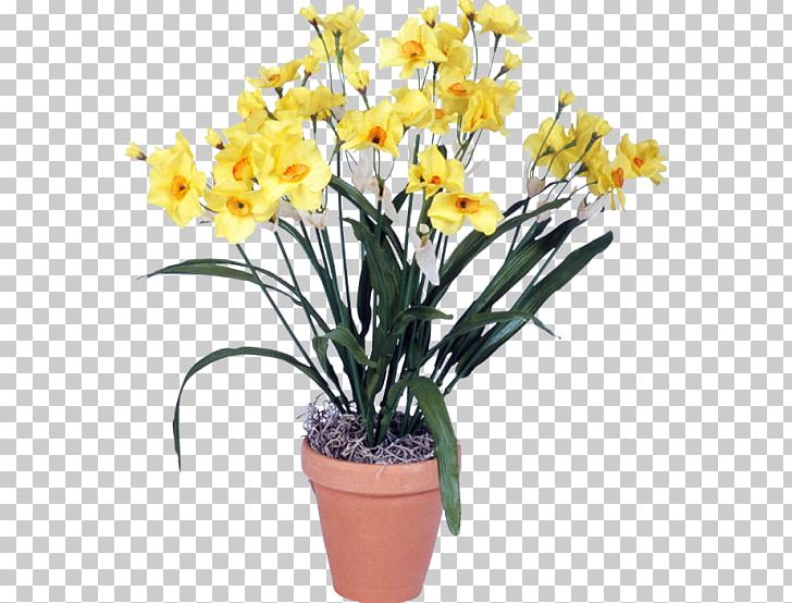 Flowerpot Cattleya Orchids Cut Flowers Artificial Flower PNG, Clipart, Amaryllis Family, Artificial Flower, Bouquet, Cattleya, Cattleya Orchids Free PNG Download