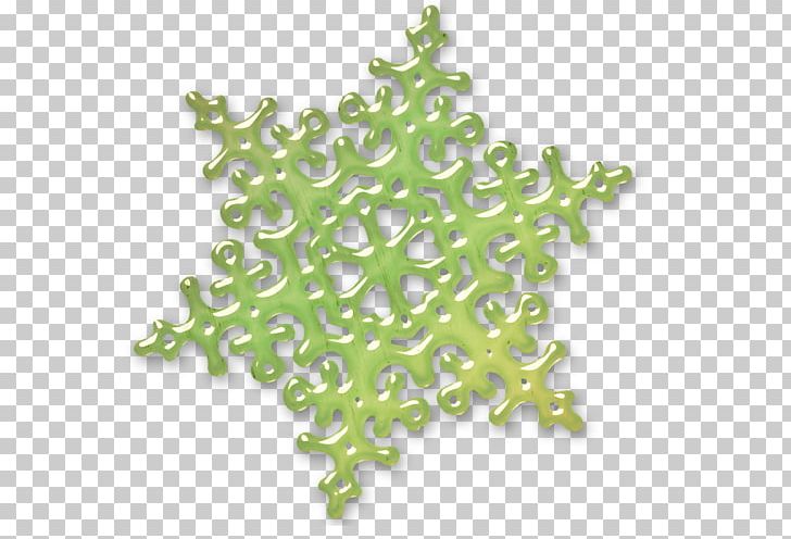 Snowflake Anthology PNG, Clipart, Anthology, Christmas, Et Cetera, Graf, Green Free PNG Download