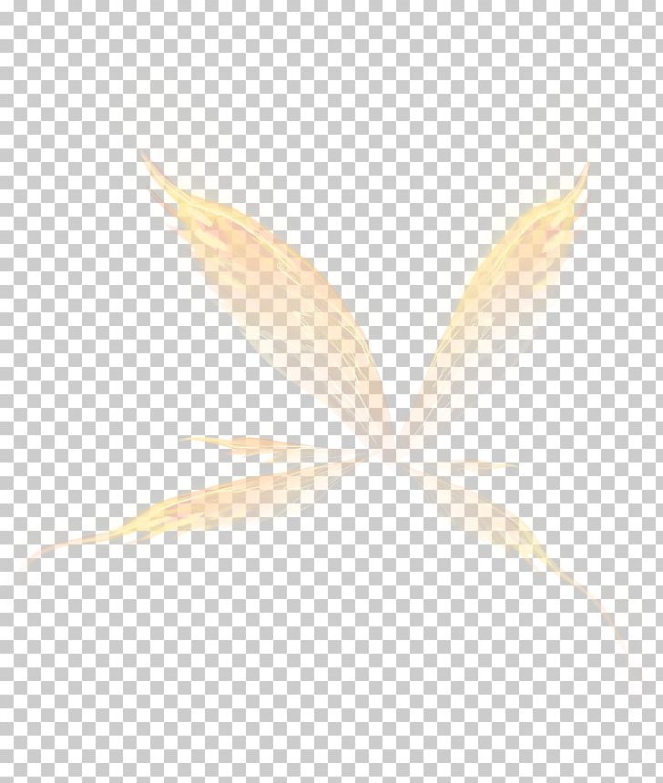 White Angle Pattern PNG, Clipart, Angel Wing, Angel Wings, Angle, Beak, Beautiful Free PNG Download