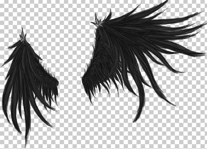 Black Hair White PNG, Clipart, Black, Black And White, Black Hair, Devil Angel, Feather Free PNG Download