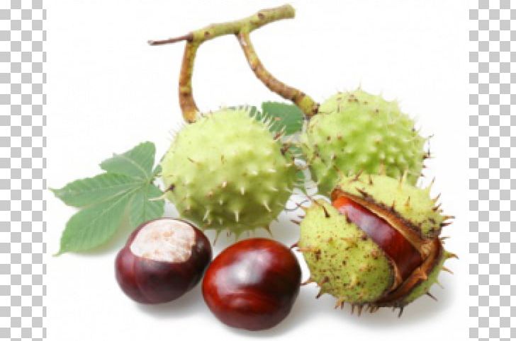 European Horse-chestnut Sweet Chestnut Auglis Tincture Peel PNG, Clipart, Auglis, Bark, Buckeyes, Chestnut, Decoction Free PNG Download