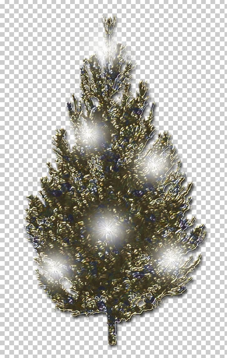 Christmas Tree Blog Diary LiveInternet PNG, Clipart, Christmas Decoration, Christmas Frame, Christmas Lights, Christmas Tree, Conifer Free PNG Download