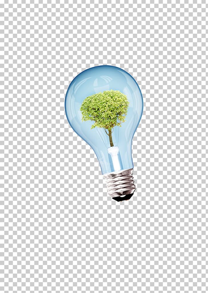 Incandescent Light Bulb Euclidean PNG, Clipart, Christmas Lights, Compact Fluorescent Lamp, Download, Energy, Energy Conservation Free PNG Download