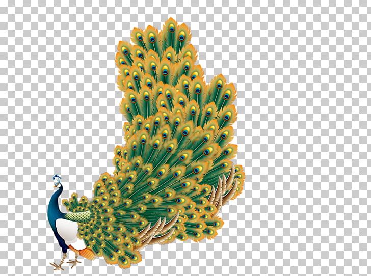 Template PNG, Clipart, Animal, Animals, Brilliant, Cactus, Down Free PNG Download