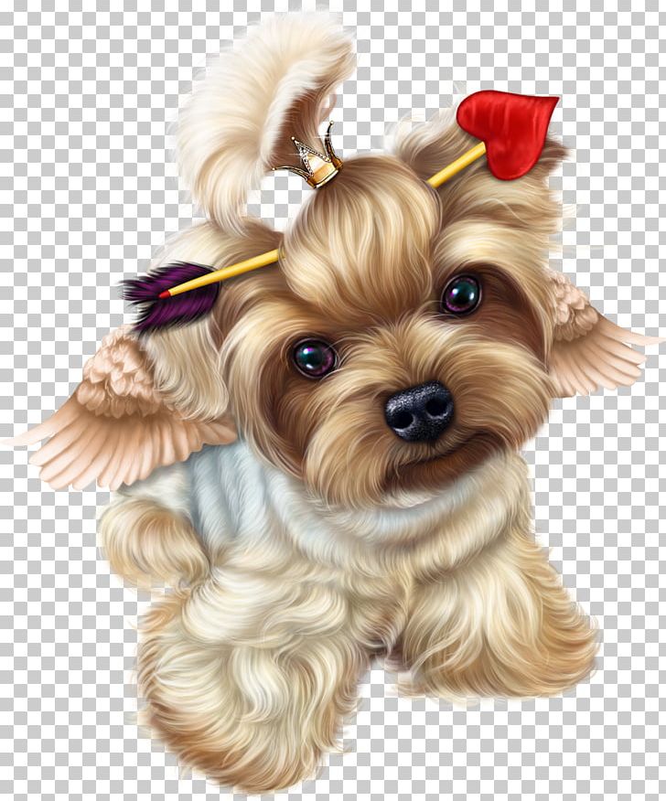 Yorkshire Terrier Puppy Valentine's Day Vinegar Valentines PNG, Clipart,  Free PNG Download