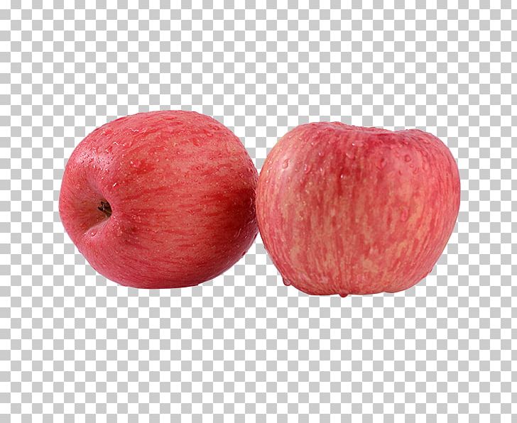 Apple Software PNG, Clipart, Apple, Apple Fruit, Apple Logo, Apple Tree, Decorate Free PNG Download