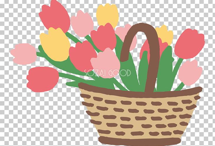 Tulip Illustration Petal PNG, Clipart, Adobe, Baking Cup, Basketball, Flower, Flowering Plant Free PNG Download