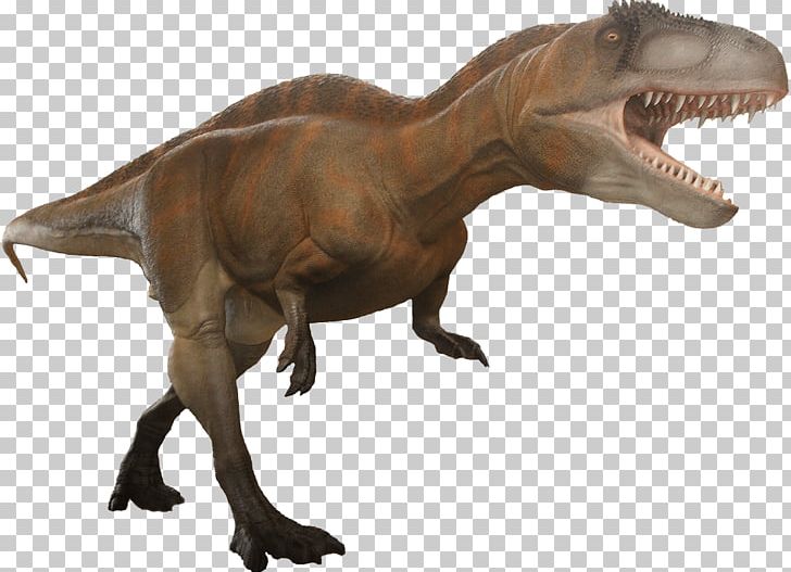 Tyrannosaurus Acrocanthosaurus Allosaurus Moab Giants PNG, Clipart, Acrocanthosaurus, Albertosaurus, Allosaurus, Dinosaur, Dinosaur Footprints Reservation Free PNG Download