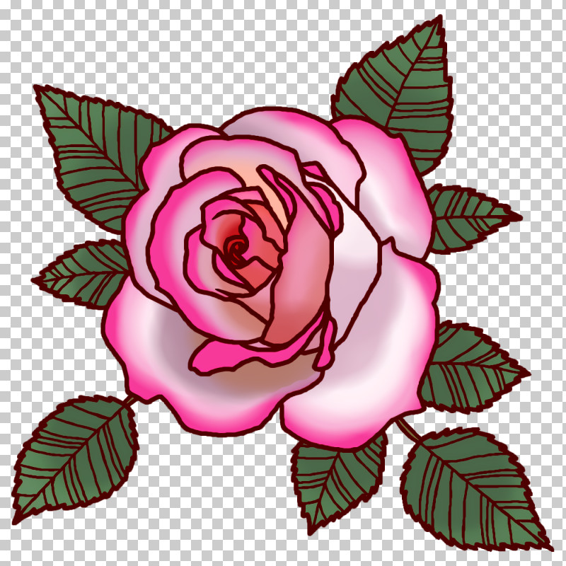 Garden Roses PNG, Clipart, Cabbage Rose, Cut Flowers, Floral Design, Flower, Garden Free PNG Download