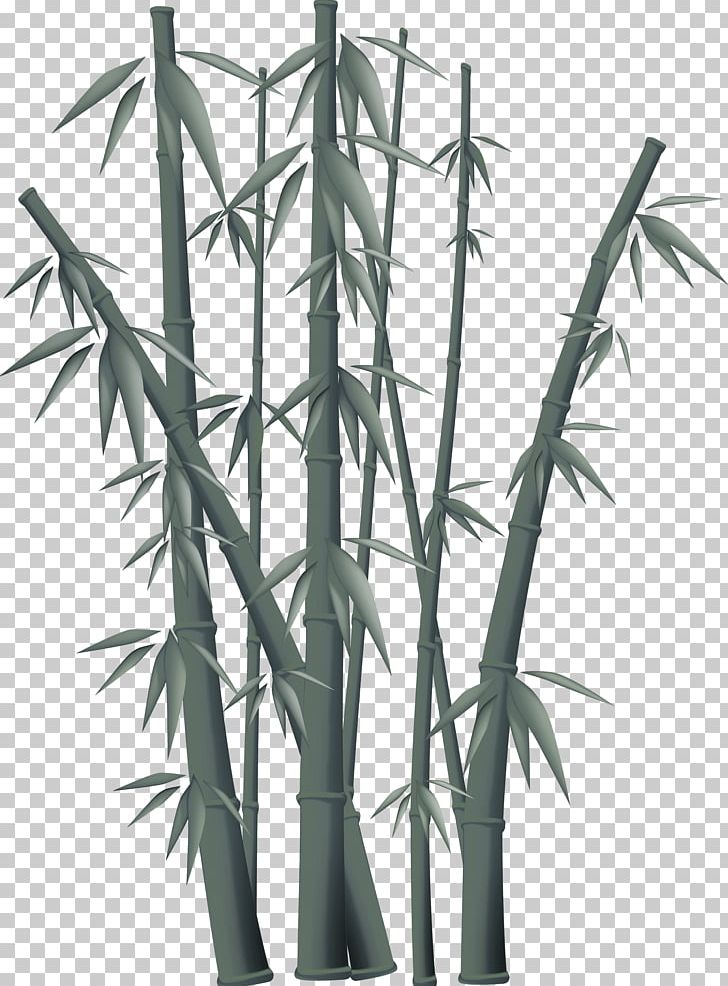 Bamboo Free Content PNG, Clipart, Angle, Bamboo, Black And White, Cartoon, Cdr Free PNG Download