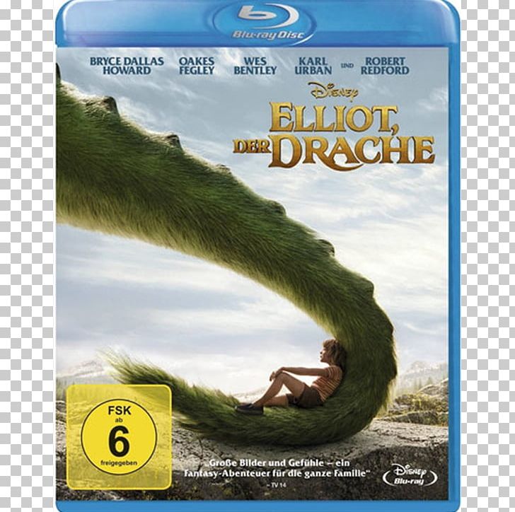 Blu-ray Disc DVD Film YouTube Dragon PNG, Clipart,  Free PNG Download