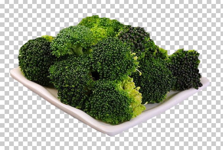 Broccoli Cauliflower Vegetable Vitamin A PNG, Clipart, Broccoli, Broccoli 0 0 3, Broccoli Art, Broccoli Dog, Broccoli Sketch Free PNG Download