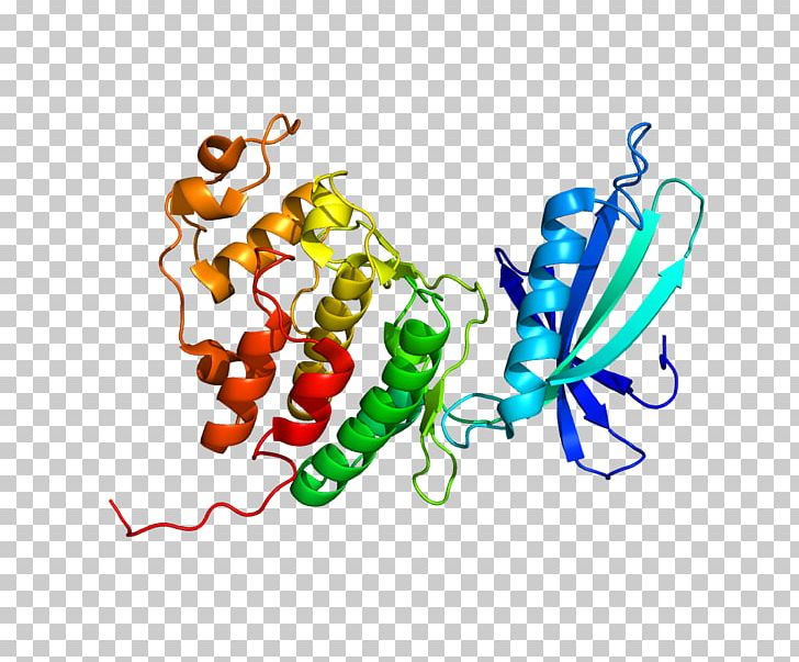 Cyclin-dependent Kinase 4 Abemaciclib PNG, Clipart, Body Jewelry, Cell Cycle, Cyclin, Cyclin D, Cyclindependent Kinase Free PNG Download