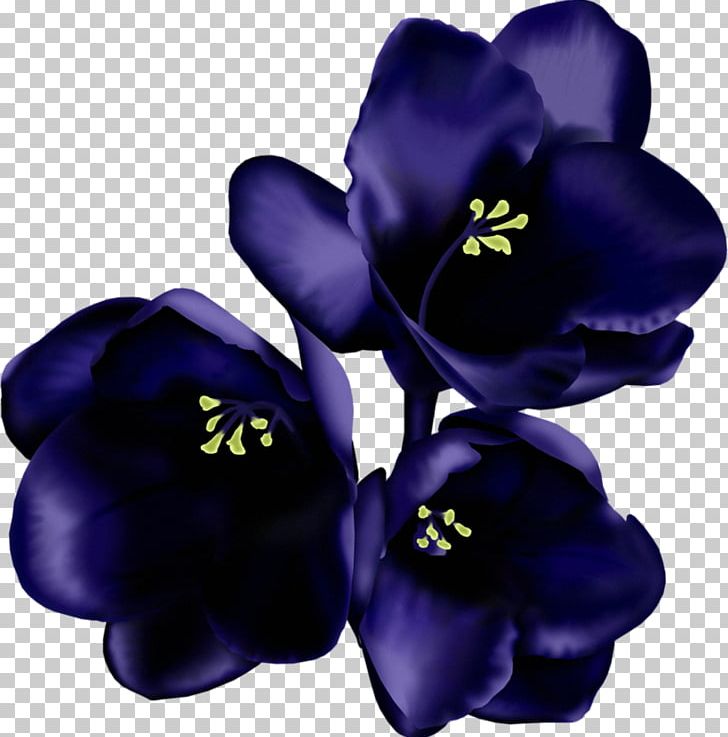 Flower Raster Graphics PNG, Clipart, Bellflower Family, Blue, Cobalt Blue, Collage, Cut Flowers Free PNG Download