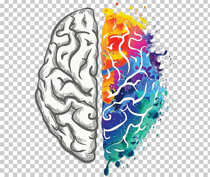 Human Brain Creativity Your Creative Brain Lateralization Of Brain Function PNG, Clipart, Brain, Brain Lateralization, Cognitive Science, Creative, Creativity Free PNG Download