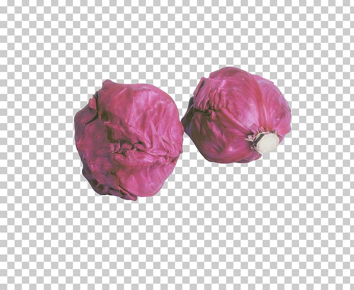 Red Cabbage Organic Food Vegetable PNG, Clipart, Brassica Oleracea, Cabbage, Cut Flowers, Eating, Flower Free PNG Download