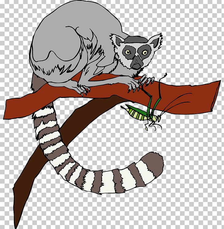 Ring-tailed Lemur Primate PNG, Clipart, Blackandwhite Ruffed Lemur, Carnivoran, Cartoon, Cat, Cat Like Mammal Free PNG Download