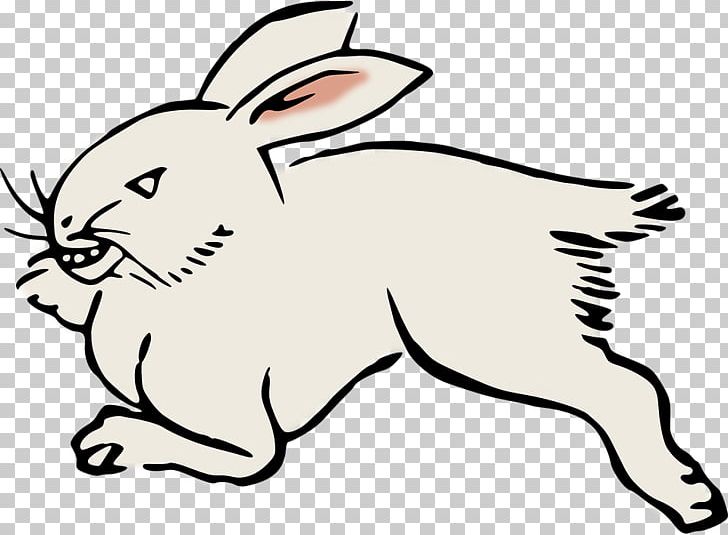 Domestic Rabbit Hare PNG, Clipart, Adobe Illustrator, Animal, Animal Figure, Animals, Carnivoran Free PNG Download