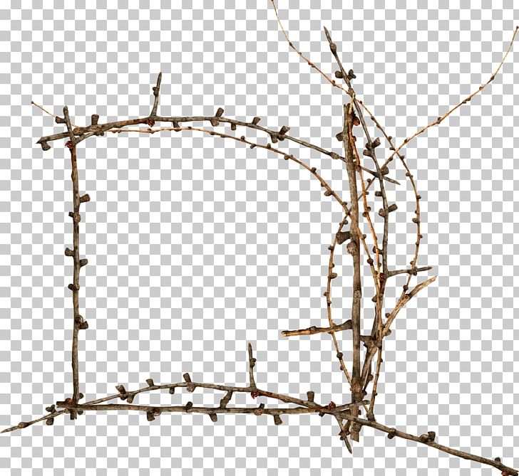Fence Barbed Wire Twig Tree Plant Stem PNG, Clipart, Area, Barbed Wire, Branch, Branches, Branching Free PNG Download