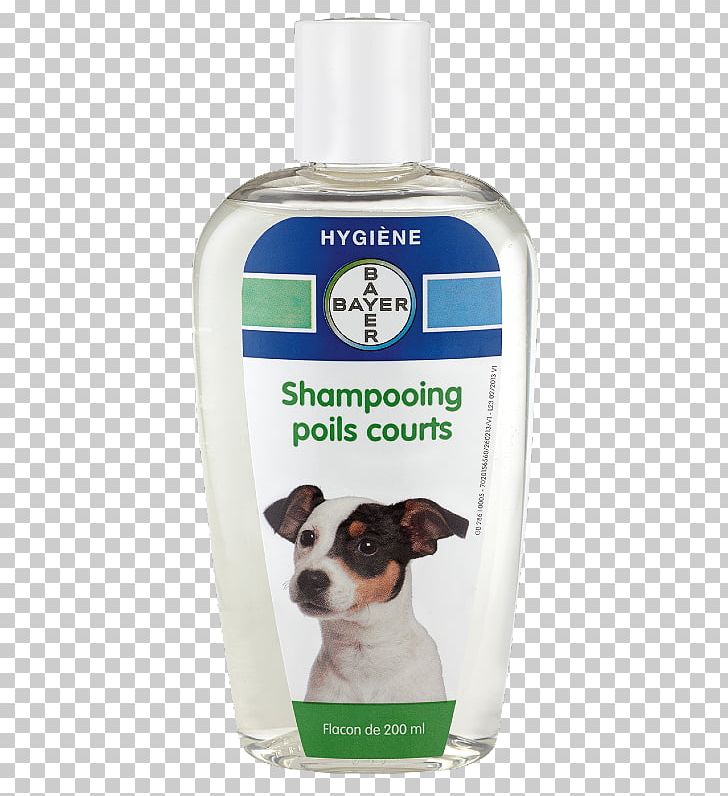 Smooth Collie Jack Russell Terrier Shampoo Lotion Puppy PNG, Clipart, Courts, Dog, Dog Agility, Hygiene, Jack Russell Terrier Free PNG Download
