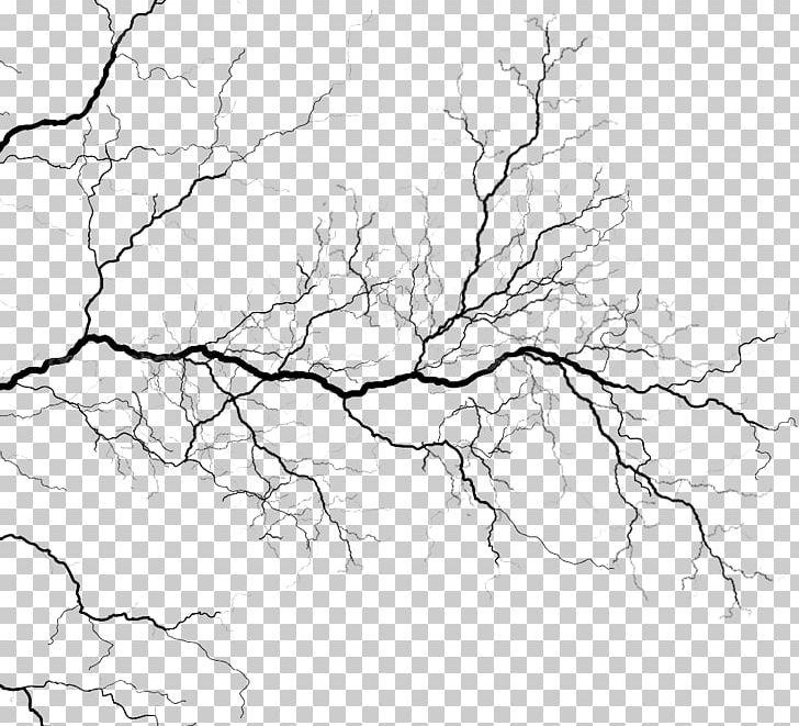 Vein Circulatory System Blood Vessel Heart PNG, Clipart, Area, Artery, Artwork, Black And White, Branch Free PNG Download