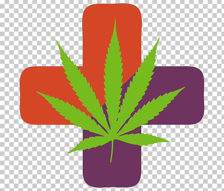 Medical Cannabis Dispensary Sour Diesel Green Dragon PNG, Clipart, Cannabis, Cannabis Indica, Cannabis Sativa, Cannabis Shop, Cannabis Smoking Free PNG Download