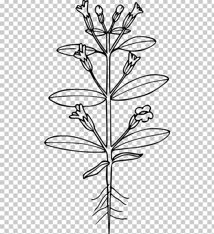 Erythranthe Breweri Computer Icons PNG, Clipart, Angle, Black And White, Branch, Computer Icons, Flora Free PNG Download