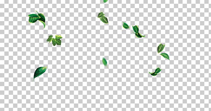 Papua New Guinea Leaf Tree PNG, Clipart, Angle, Autumn Leaves, Banana Leaves, Defoliation, Drawing Free PNG Download