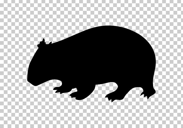Wombat Computer Icons Koala PNG, Clipart, Animals, Bear, Beaver, Black And White, Carnivoran Free PNG Download