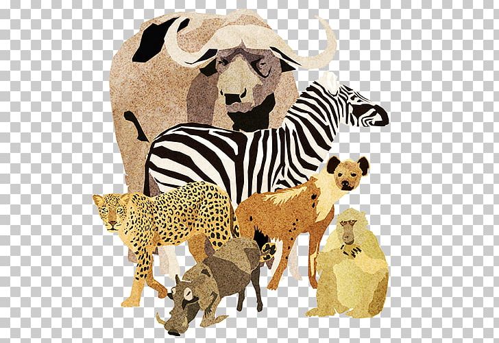 Cheetah Big Cat Wildlife Animal PNG, Clipart, Animal, Animal Figure, Animals, Behance, Big Cat Free PNG Download