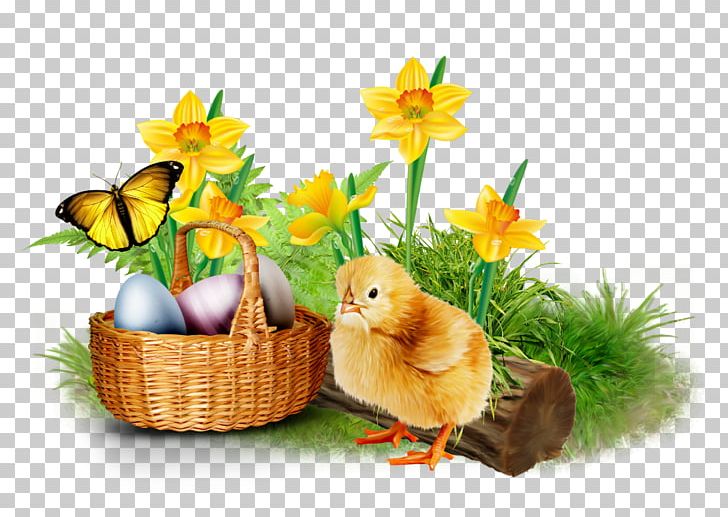 Chicken PNG, Clipart, Animals, Blog, Centerblog, Chicken, Easter Free PNG Download