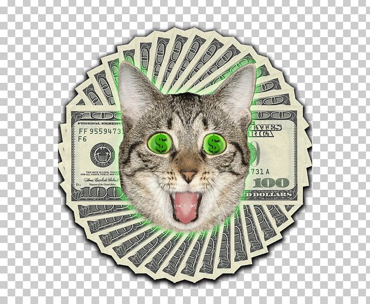 European Shorthair Tabby Cat American Shorthair Ethereum Finance PNG, Clipart, American Shorthair, Cash, Cat, Cat Like Mammal, Cat Shop Free PNG Download