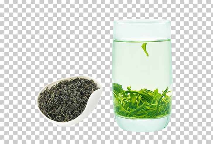 Green Tea Gyokuro Biluochun Coffee PNG, Clipart, Biluochun, Bubble Tea, Coffee, Flowerpot, Food Free PNG Download