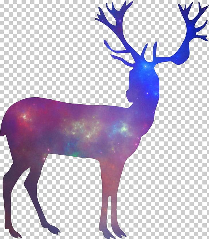 Deer Wall Decal Hunting Quotation PNG, Clipart, Animal, Animals, Antler, Bowhunting, Christmas Deer Free PNG Download