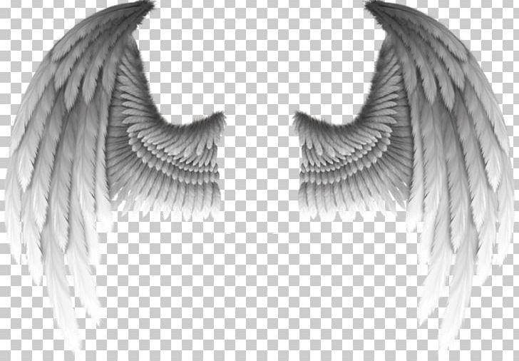 Fallen Angel Devil Wing Demon PNG, Clipart, Angel, Angels Wings, Angel Wing, Angel Wings, Archangel Free PNG Download