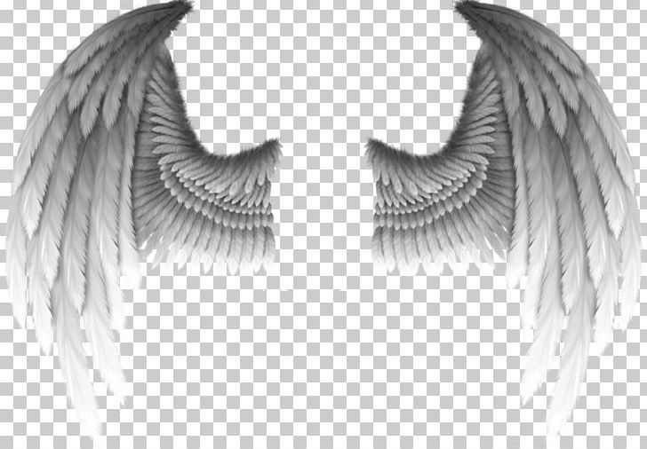 Angel And Demon Wings