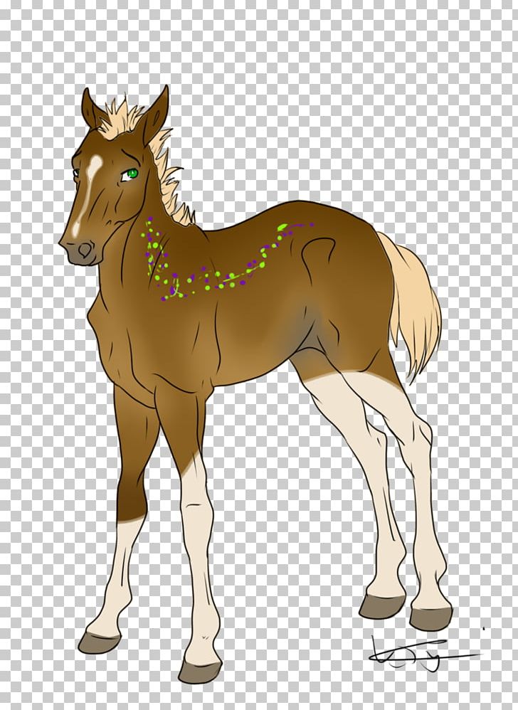 Mule Foal Stallion Mare Halter PNG, Clipart, Animals, Bridle, Cartoon, Colt, Deer Free PNG Download