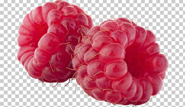 Raspberry Coulis Ripening Fruit PNG, Clipart, Berry, Blackberry, Coulis, Food, Fruit Free PNG Download