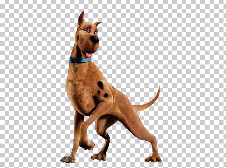 Scooby Doo Scooby-Doo Adventure Film PNG, Clipart, Carnivoran, Dog, Dog Breed, Dog Like Mammal, Film Free PNG Download