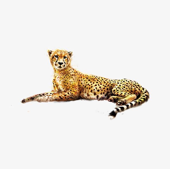 Cheetah Painted PNG, Clipart, Animal, Beast, Cheetah, Cheetah Clipart, Hand Free PNG Download