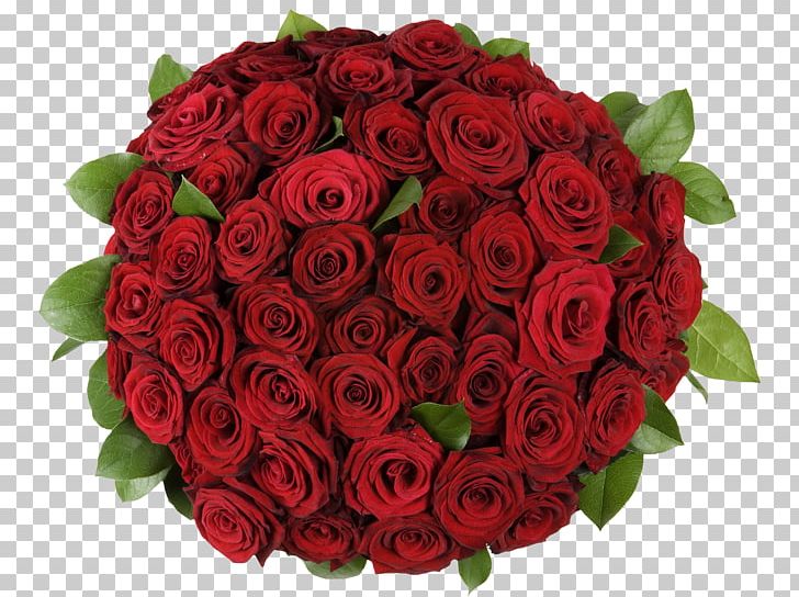 Garden Roses Flower Bouquet Petal PNG, Clipart, Arrangement, Bloom, Blossom, Bouquet, Bouquet Of Roses Free PNG Download